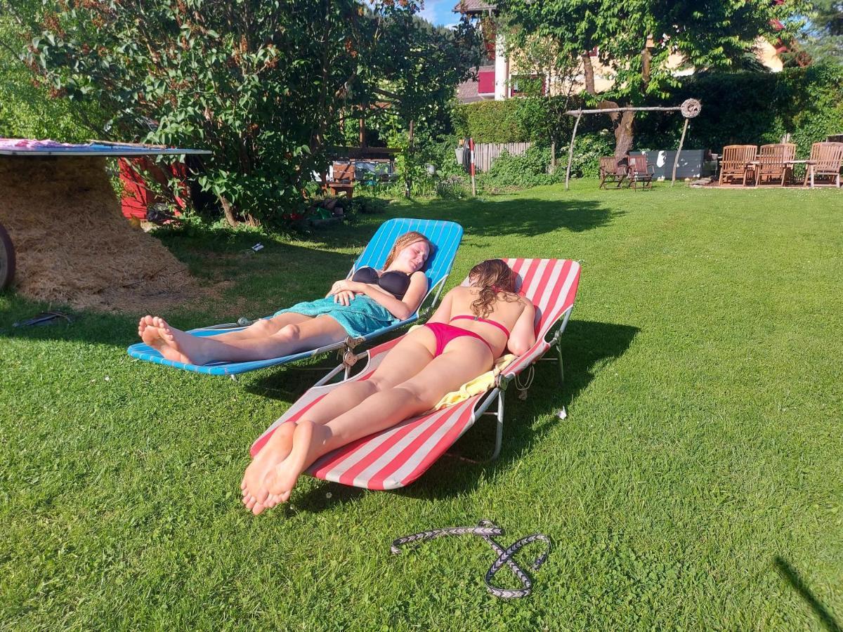 Sachserhof Ferienwohnungen In Sachsenburg Exteriér fotografie