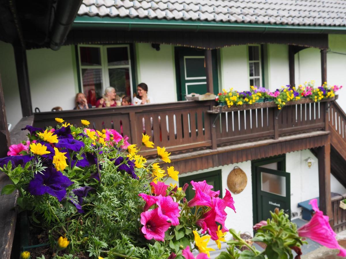 Sachserhof Ferienwohnungen In Sachsenburg Exteriér fotografie