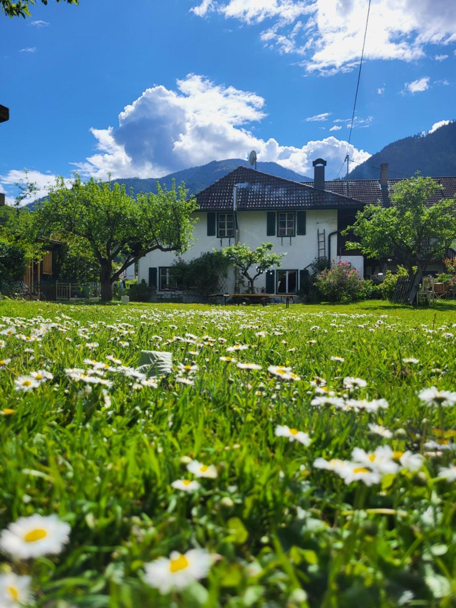 Sachserhof Ferienwohnungen In Sachsenburg Exteriér fotografie